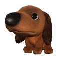 A small image of a playable Dachshund dog.